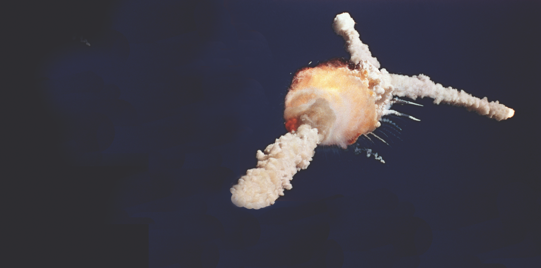 sea creature