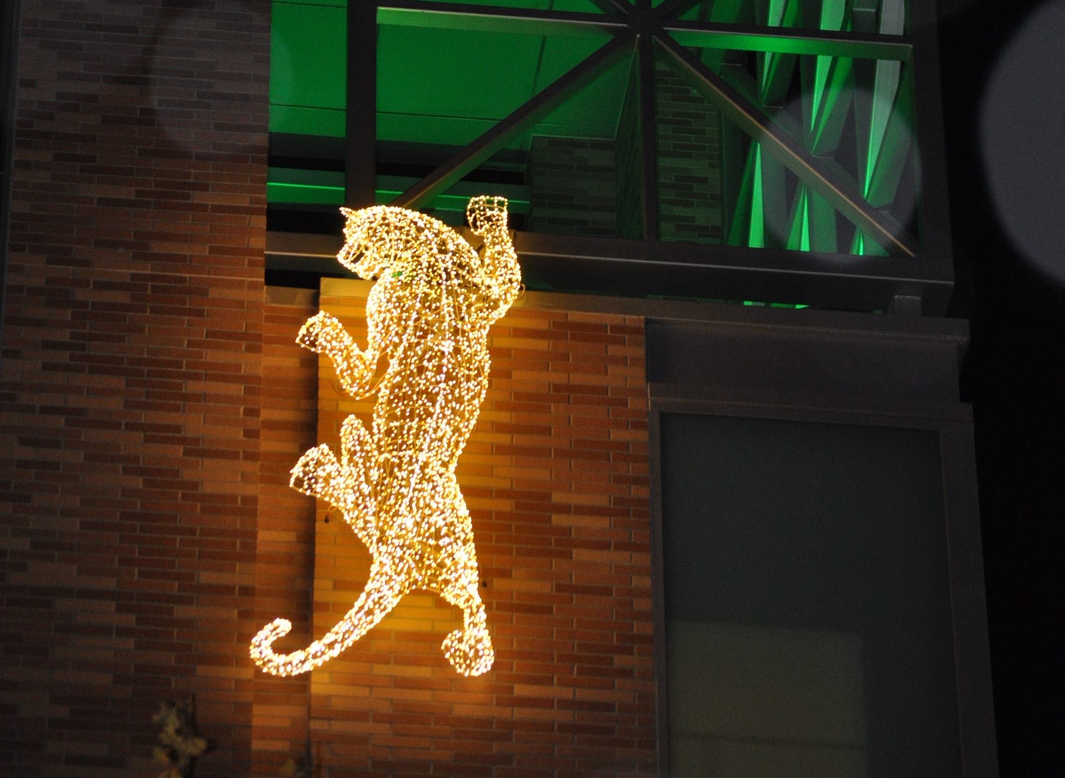 lighted panther crawling on building