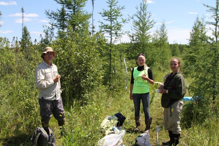 A Chapman University research team takes a break in Zim Bog in northern Minnesota during field research last year. Keller’s research is focused on understanding how ecosystems function and how these functions will respond to ongoing global change. Pictured from left are Jason Keller, Ph.D., associate professor; environmental science and policy alumna and SURF research student Jessica Mosolf ’13; and Cassandra Medvedeff, Ph.D., post-doctoral lab associate.