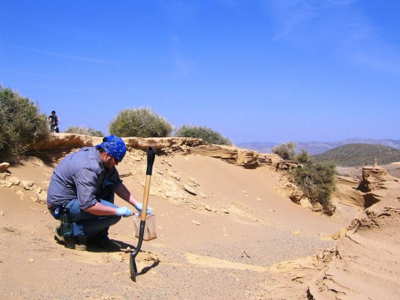 One of Professor Kim's students gather's soil samples in the field. Such samples will be used in a new study supported by an NSF grant.