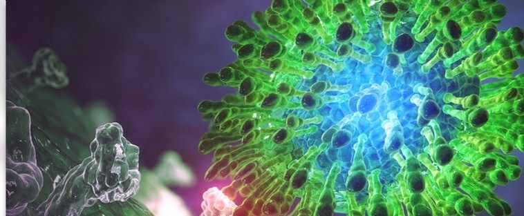 Hep C polygon virus illo