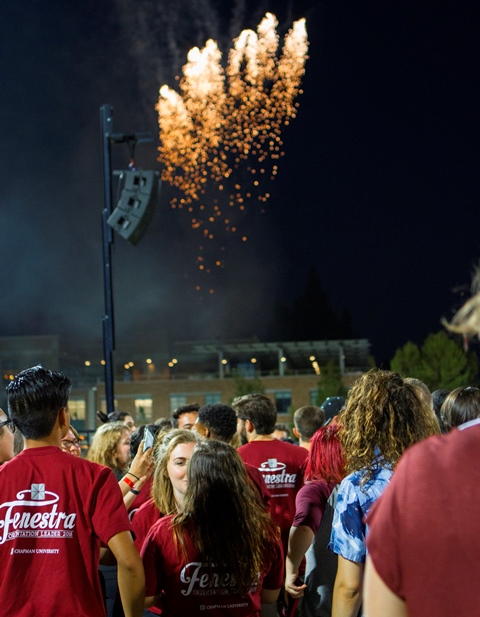 fireworks