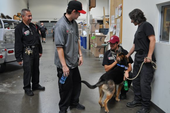 dog and workers