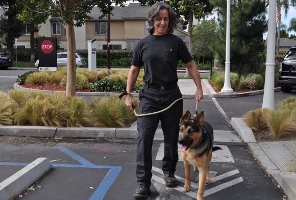 worker with dog