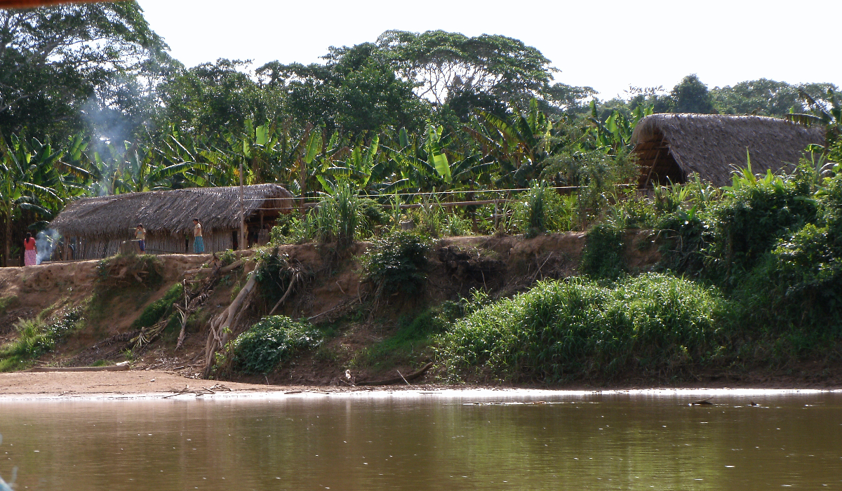 The Tsimane Health and Life History Project
