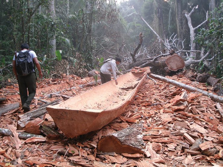 carved out canoe