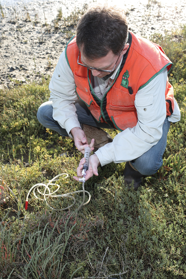 Studying connections between peatlands and the global environment allows researchers to consider a "wide range of possible futures," Professor Jason Keller says.