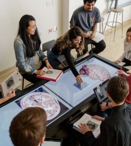 Virtual cadaver tables are among the tools used by students in Chapman’s new neuroscience minor. Students may choose from more than 60 minors and have the opportunity to create custom minors as well.