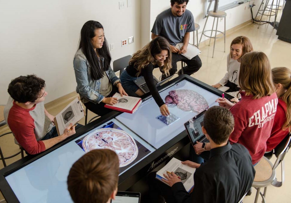 Virtual cadaver tables are among the tools used by students in Chapman’s new neuroscience minor. Students may choose from more than 60 minors and have the opportunity to create custom minors as well.