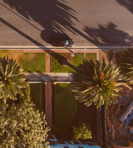 Overhead image of palm trees and a suburban street.