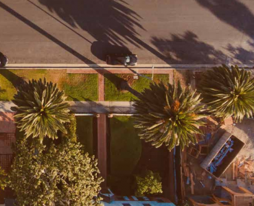 Overhead image of palm trees and a suburban street.