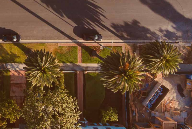 Overhead image of palm trees and a suburban street.