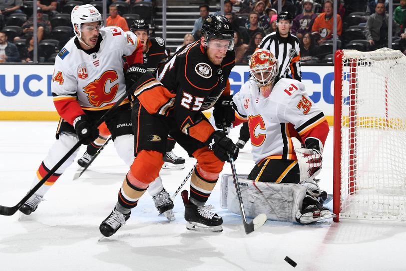 Panthers and Ducks: A Match Made in Anaheim | Chapman Newsroom