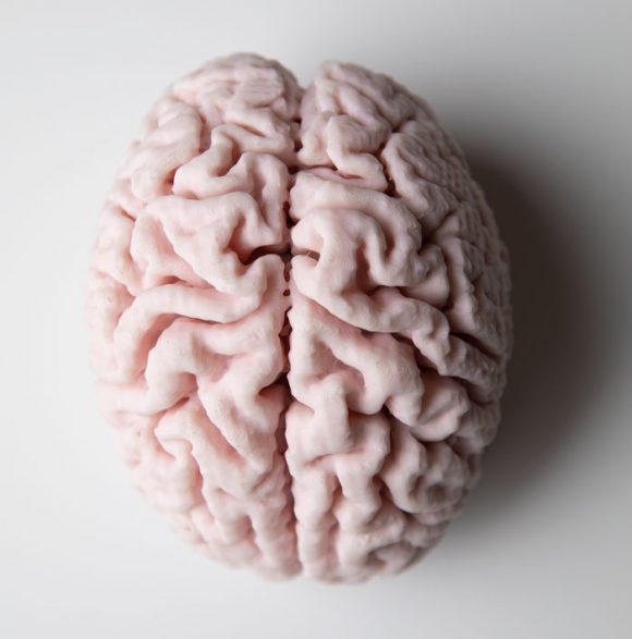 3d printed brain