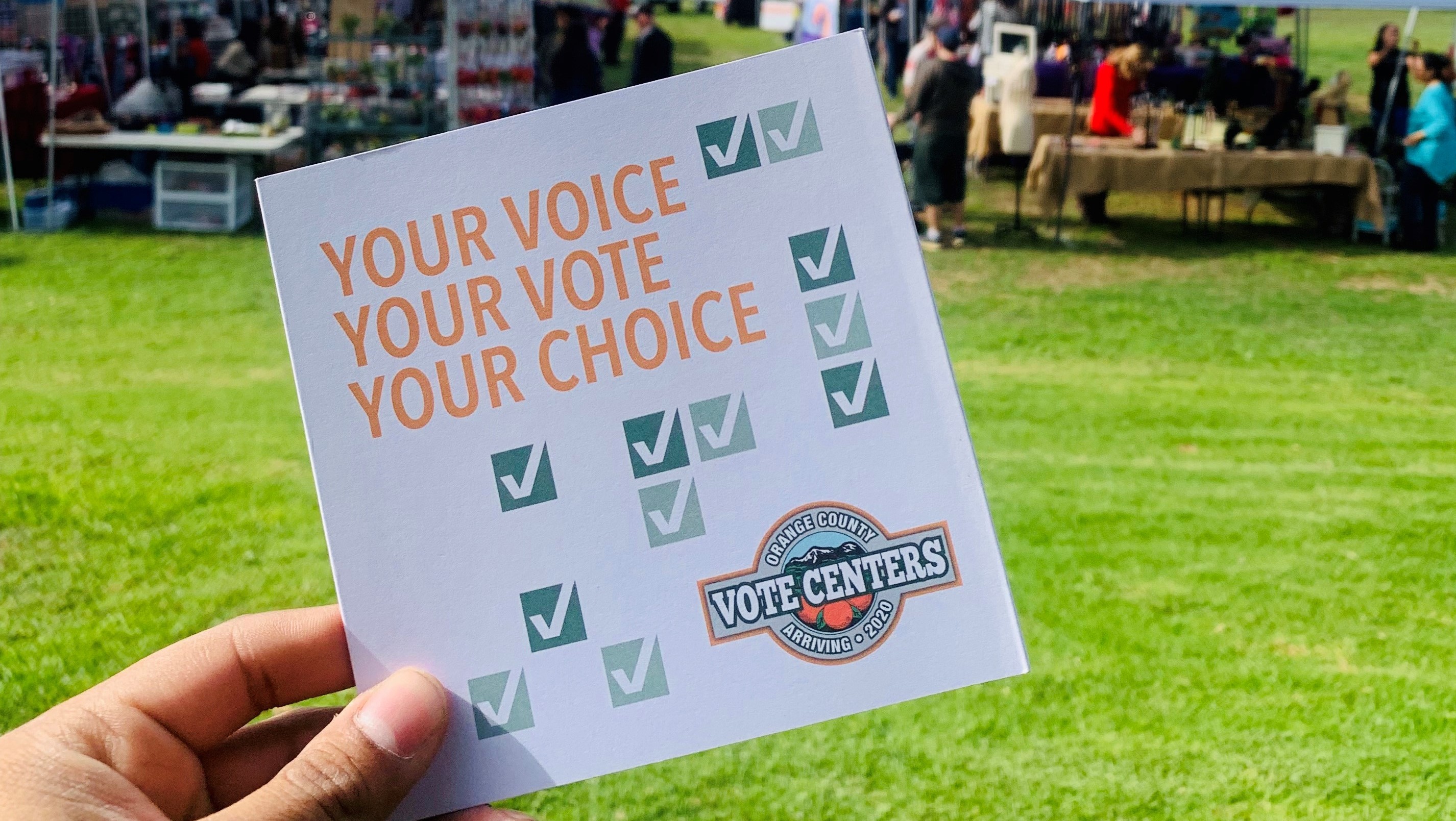 voter brochure