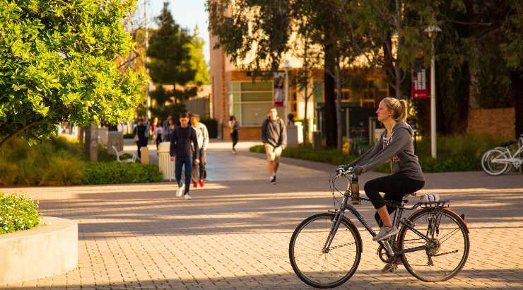 Student riding a bicycle on campus.