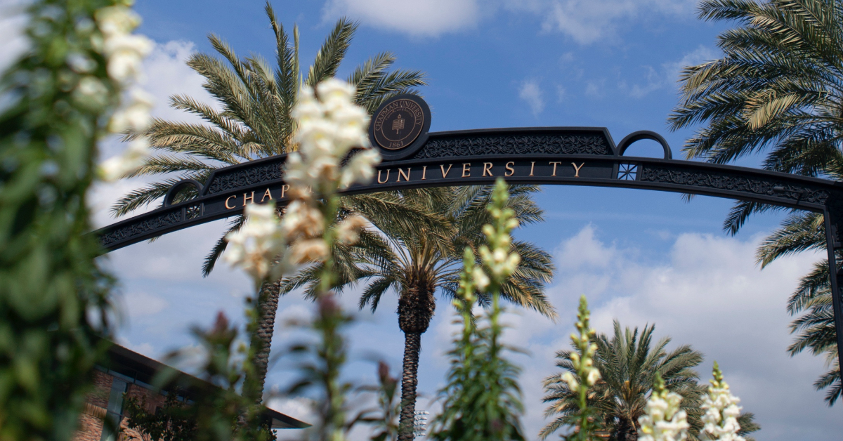 Chapman gate, blue sky and palm trees displayed from a low angle.