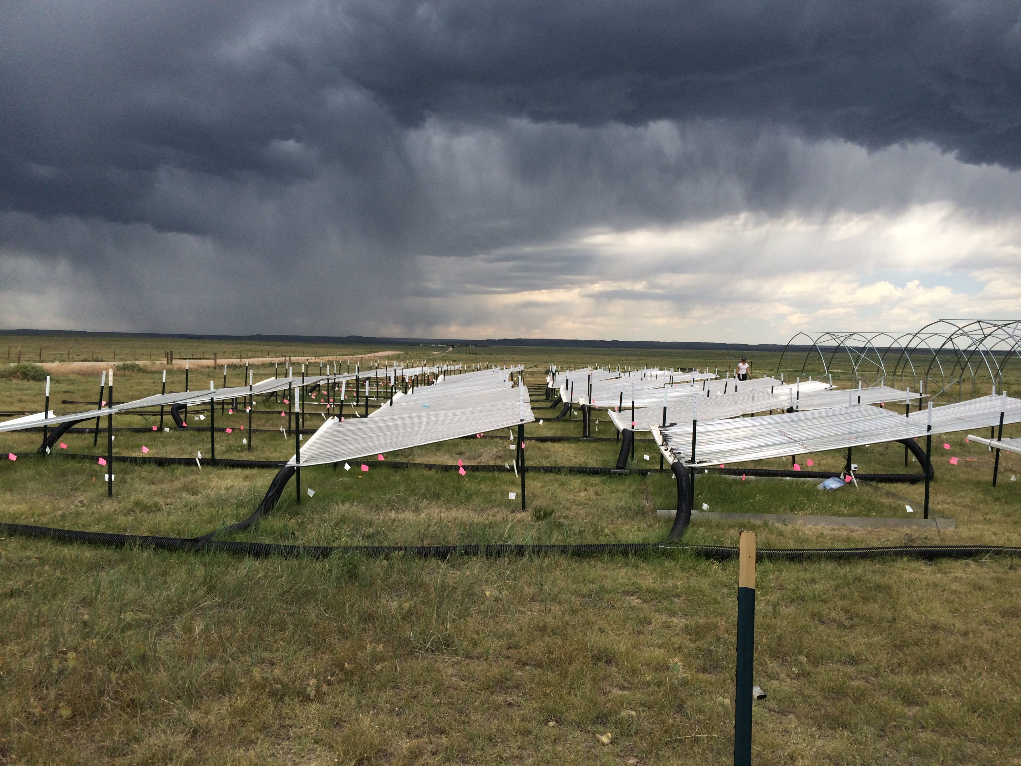 Rangeland research