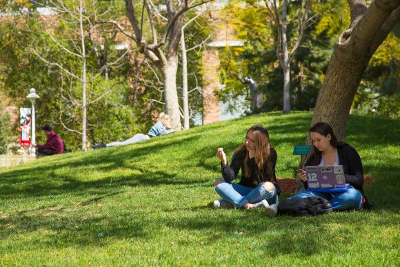 students sitting on grass under trees