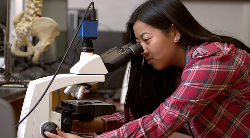 Researcher looks through microscope