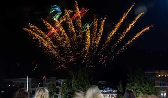 fireworks in night sky