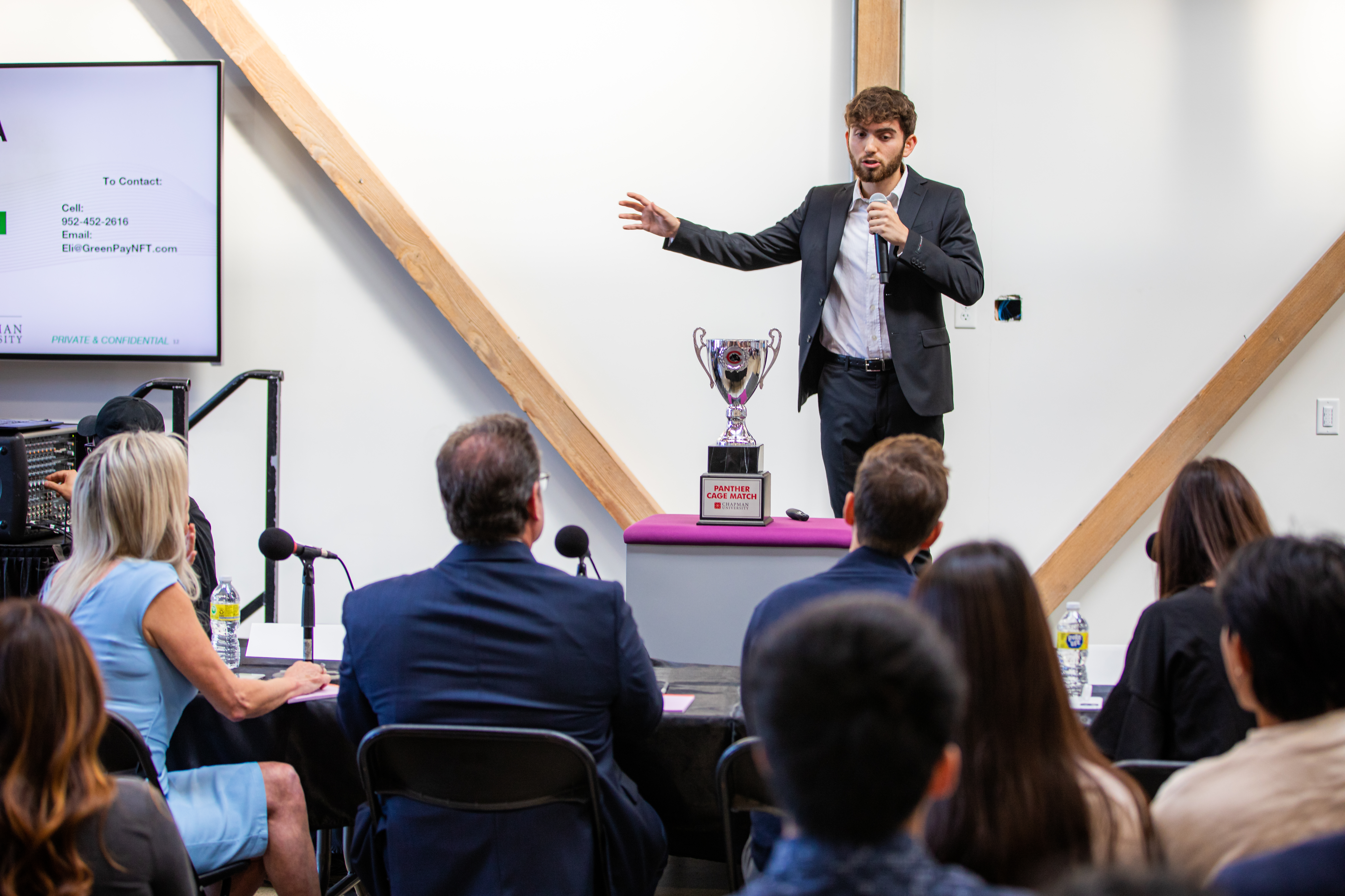 Panther Cage Match 3