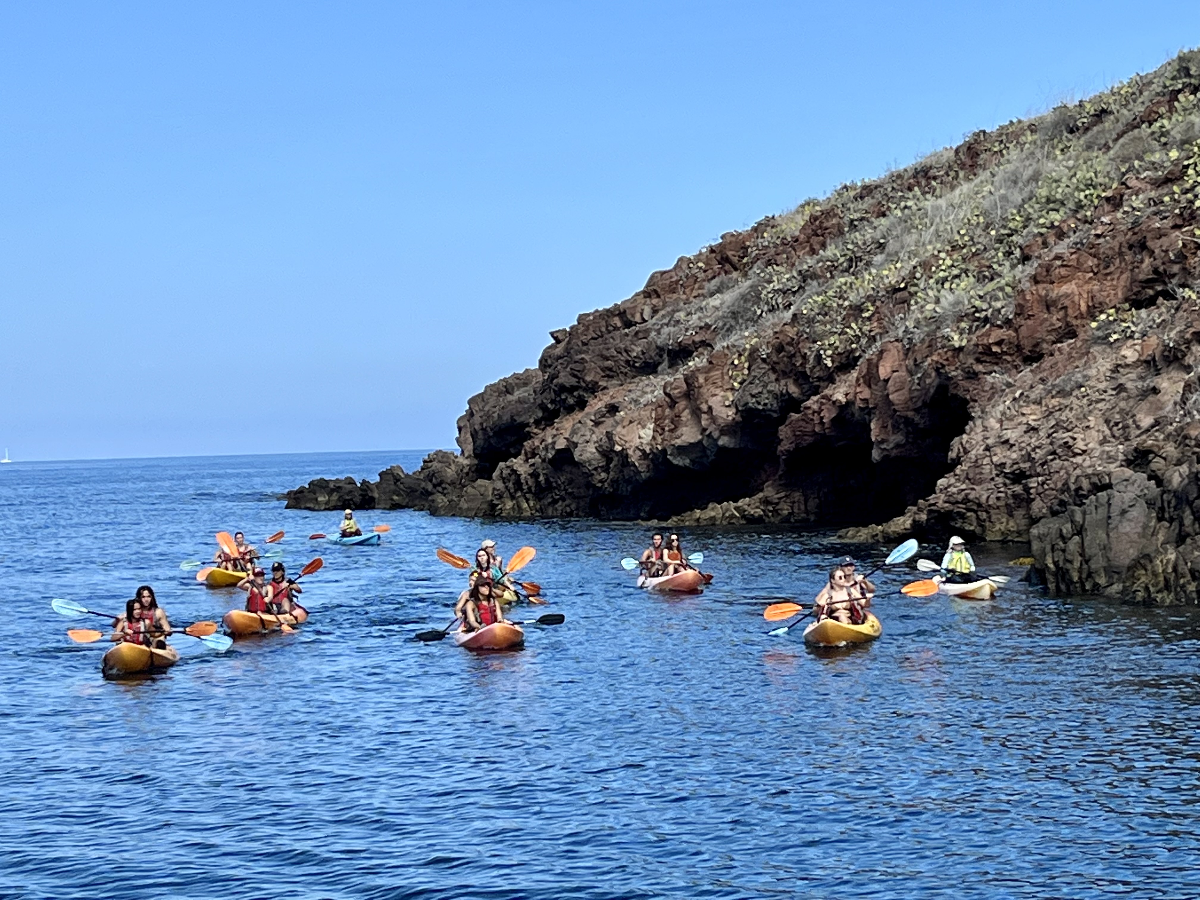 Students explore Catalina Island by kayak