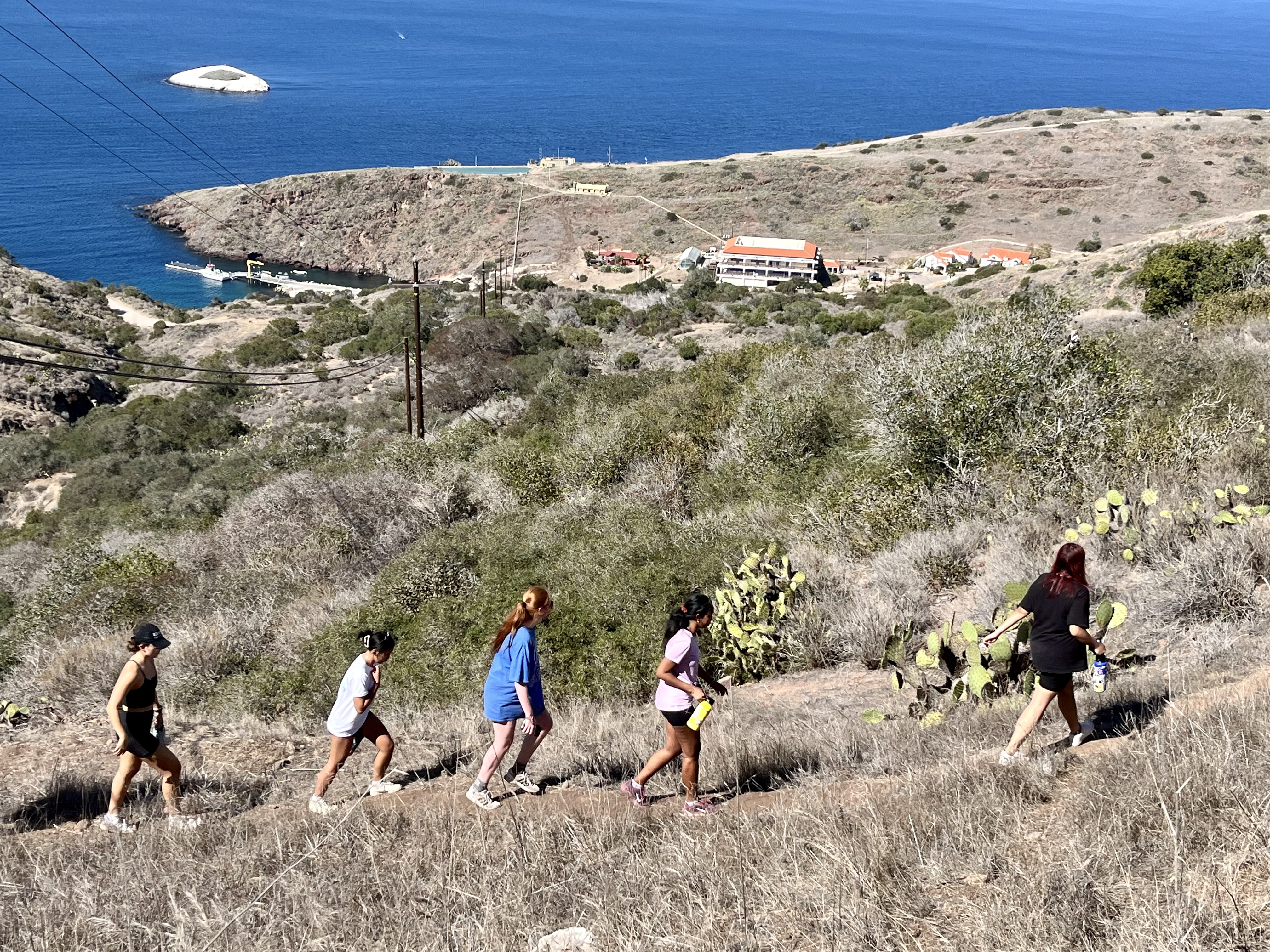 Students hike a Catalina trail
