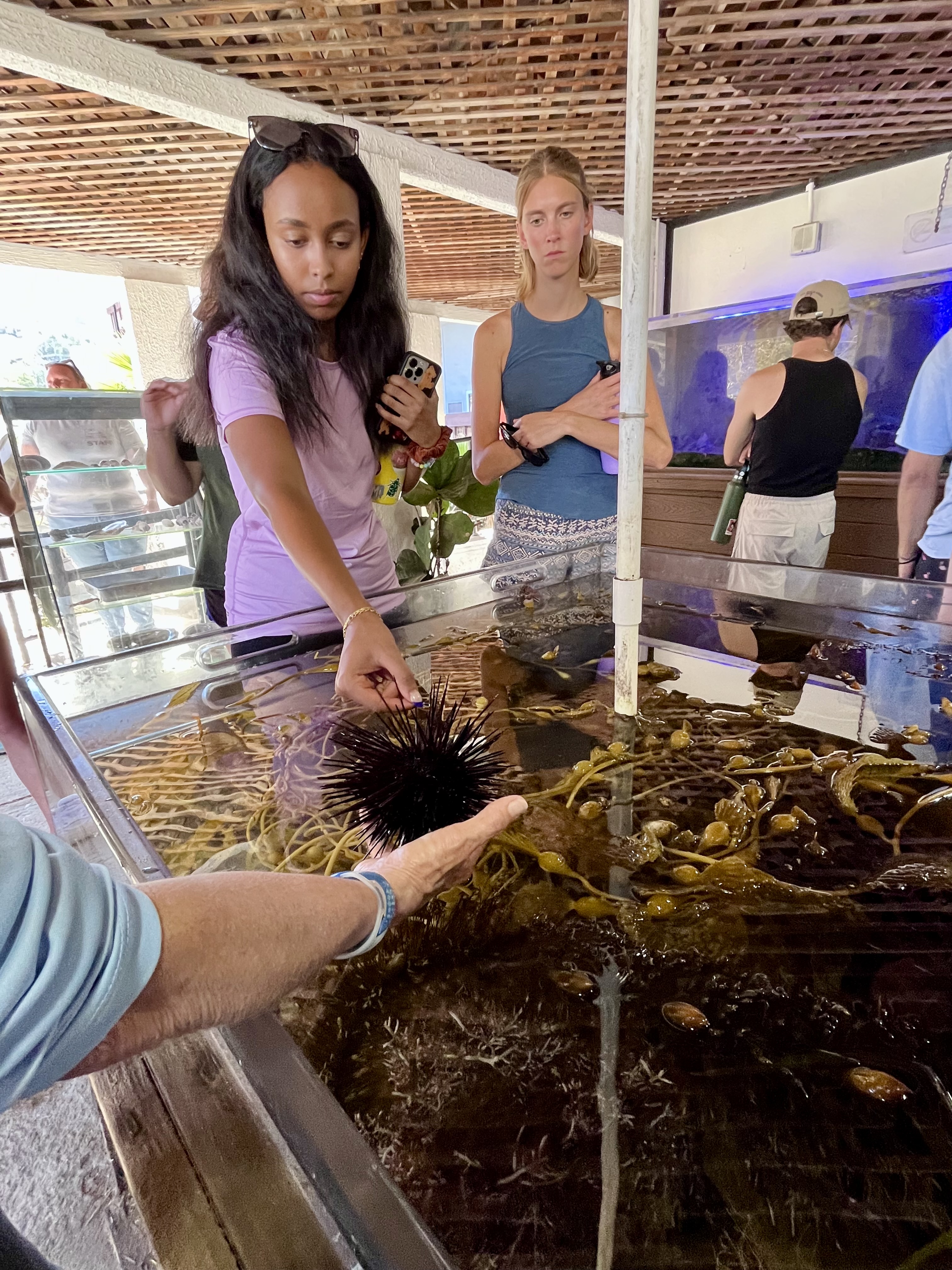 students enjoy the touch tank experience on catalina island 