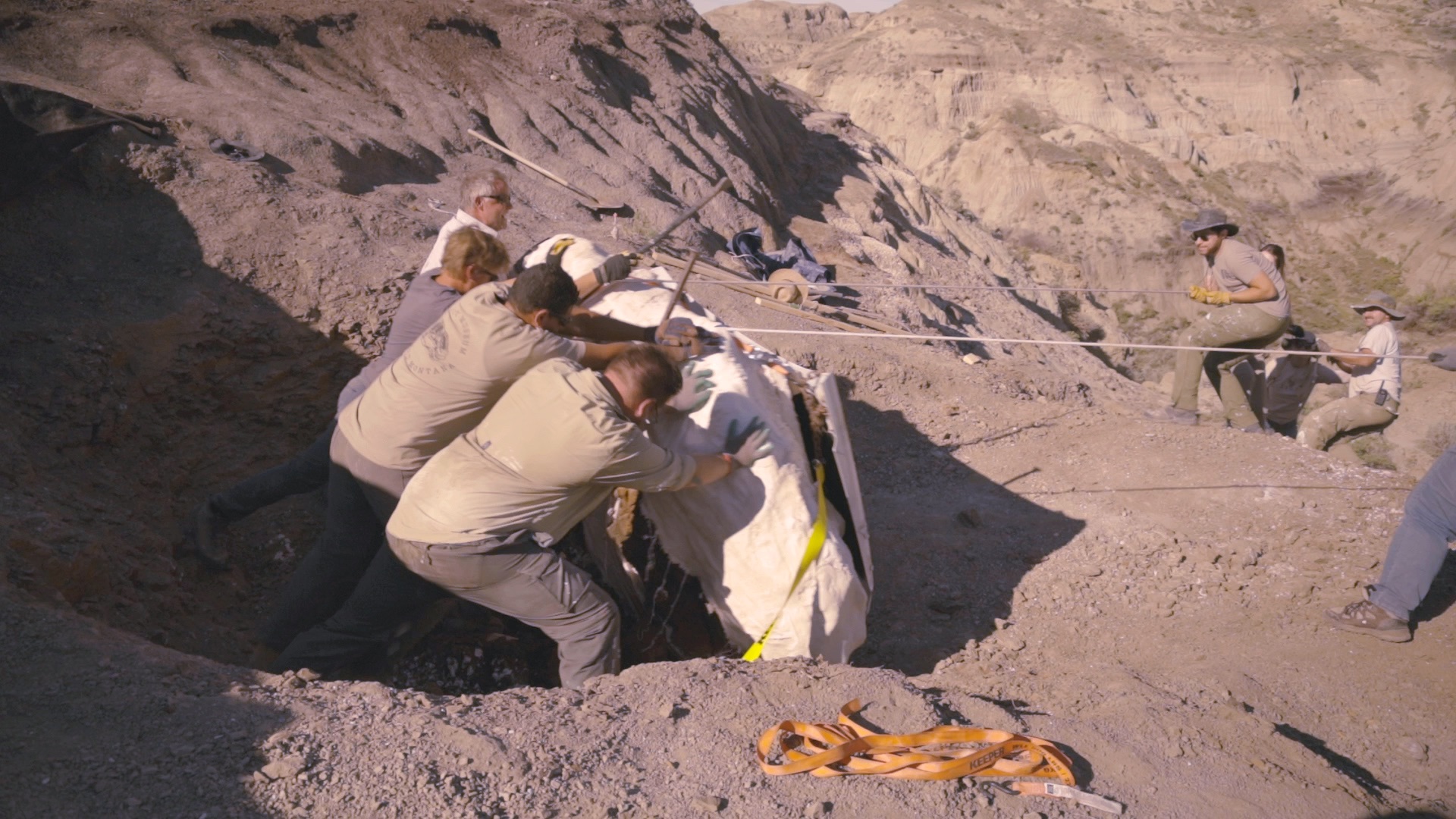 Flipping fossil jacket. 