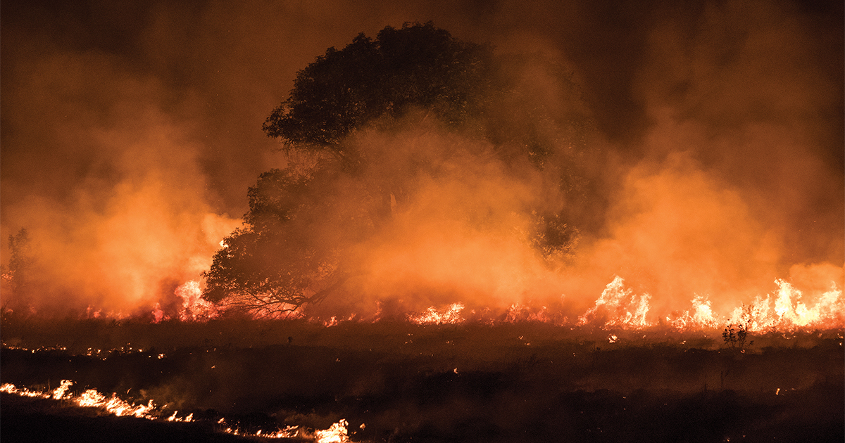 Wildfires