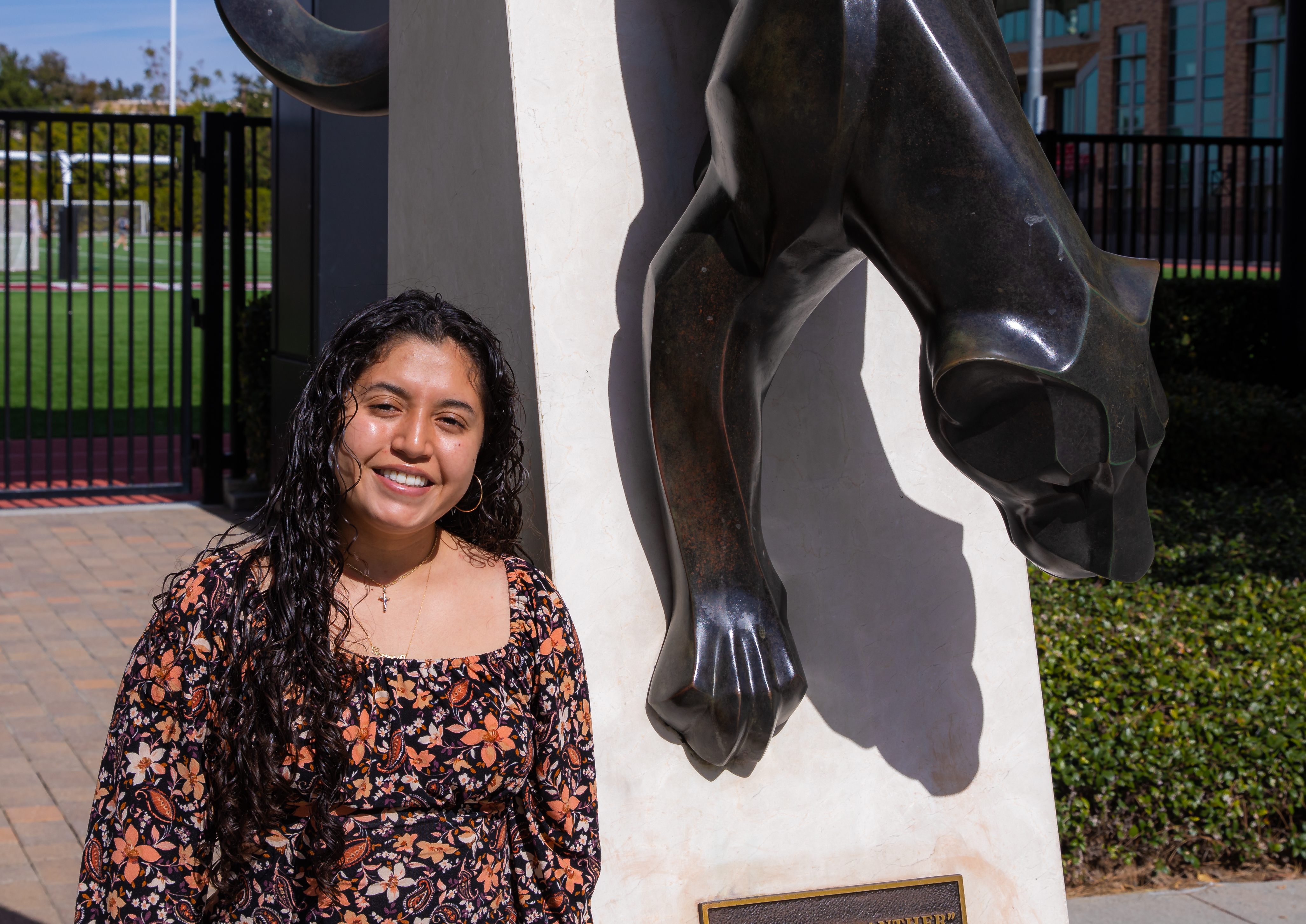 Transfer Student Experience