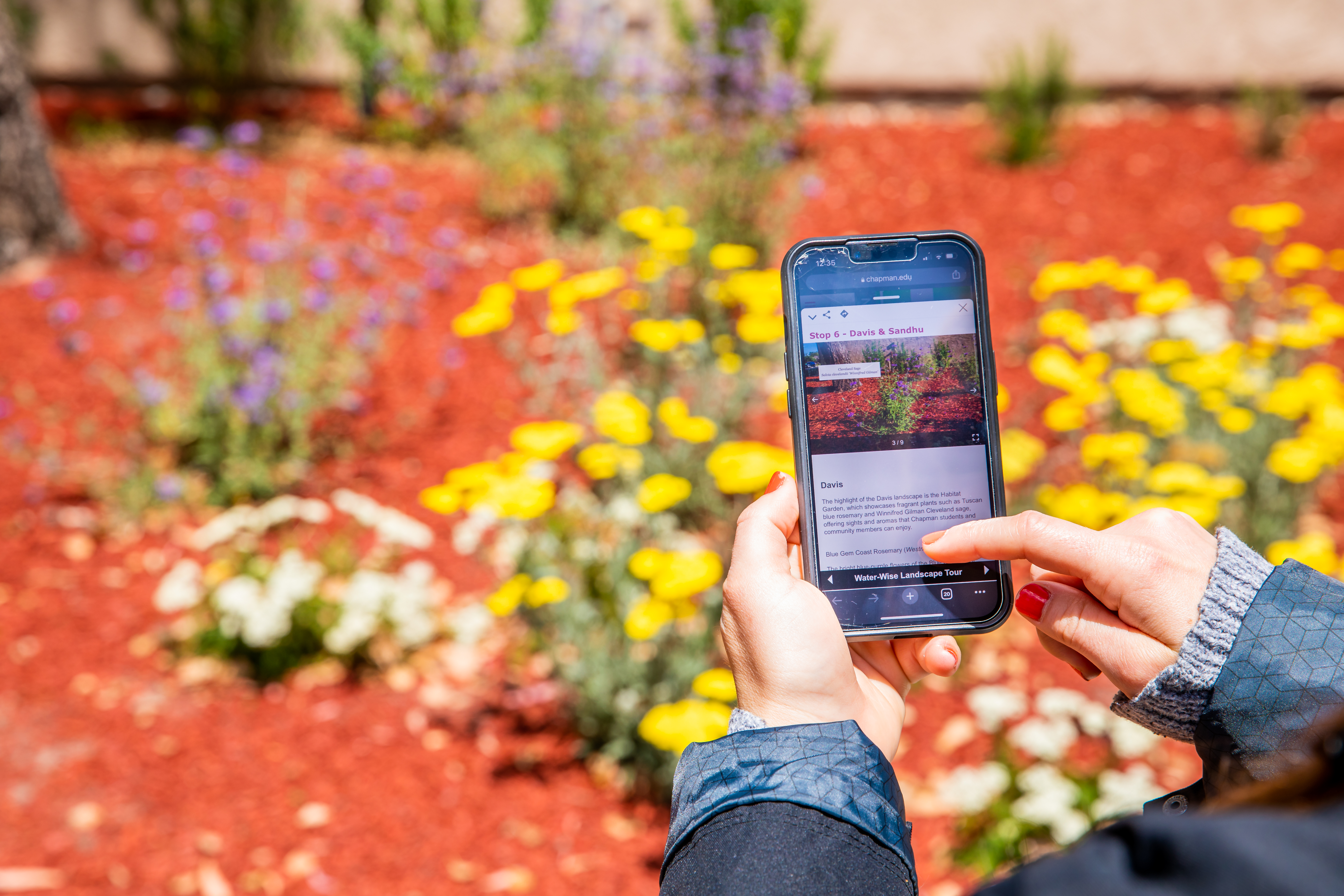 The smartphone displays information about landscaping on campus