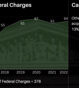 graph labeled "Number of Federal Charges"