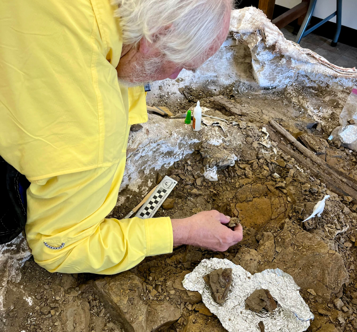 professor-jack-horner-examining-fossil