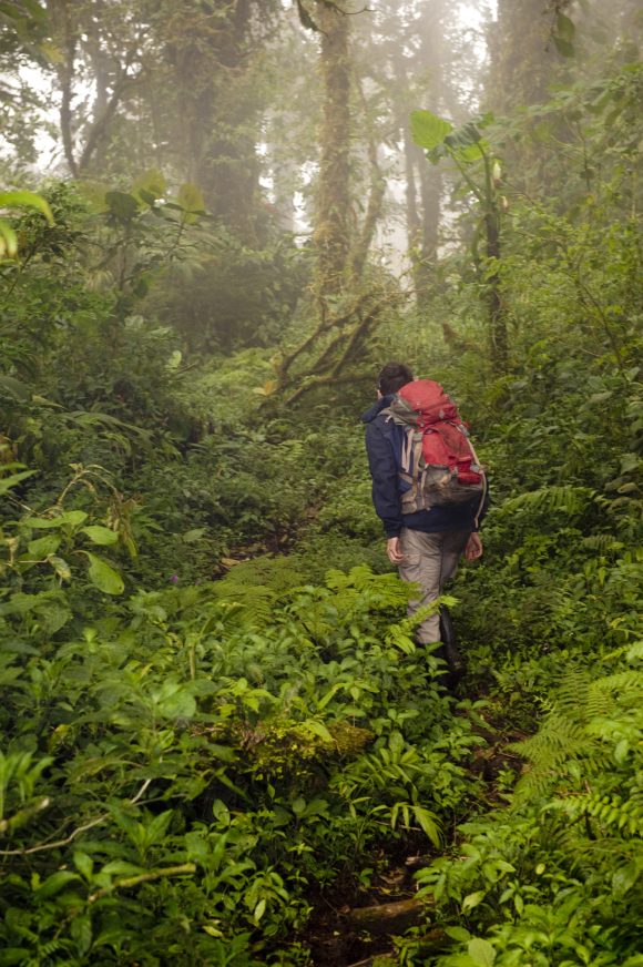 regory Goldsmith with Arc'teryx jacket and Black Diamond pack in elfin cloud forest. Elfin forest, Beyond La Ventana, Monteverde Cloud Forest Reserve, Monteverde, Puntarenas, Costa Rica.