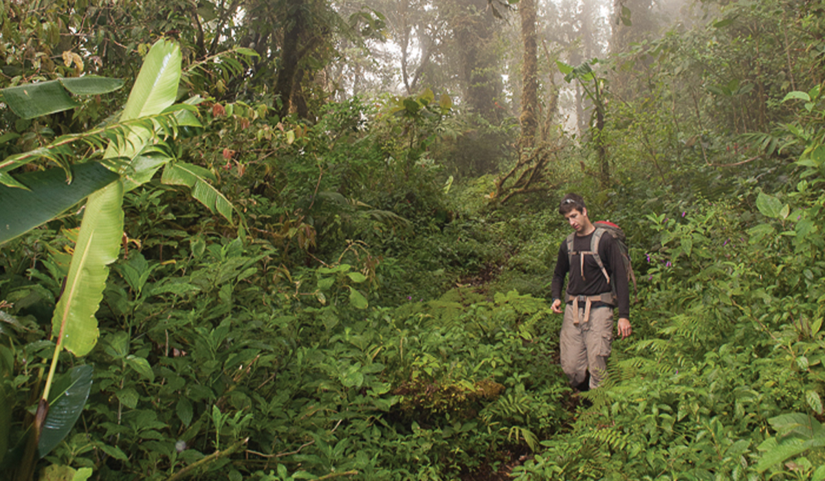 gregory goldsmith hiking in rainforest