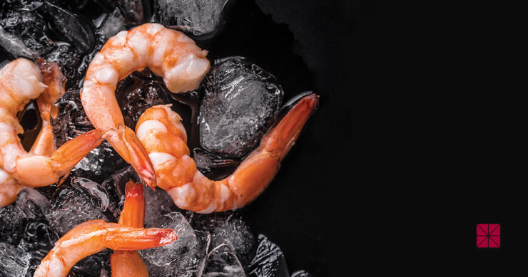 close up of shrimp