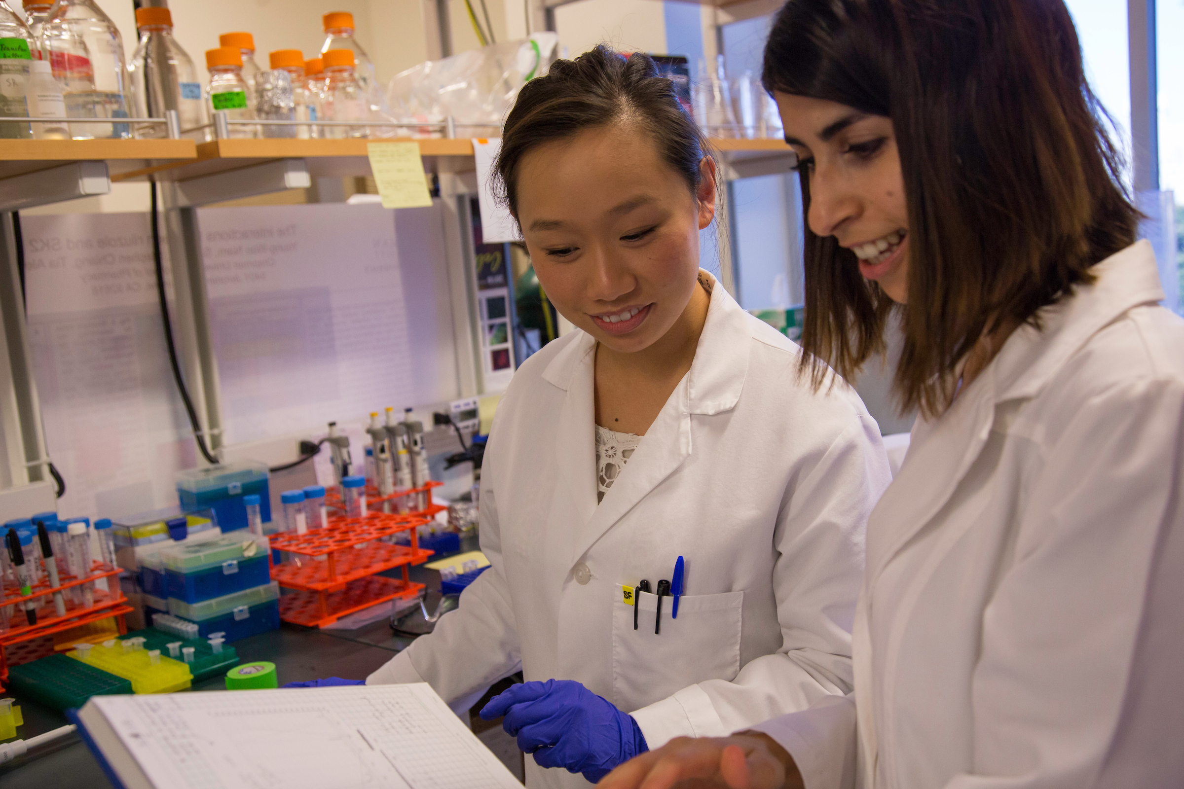 School of Pharmacy NAPLEX scores