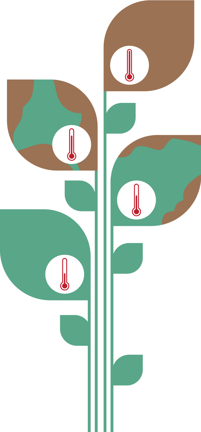 infographic-increasing-leaves-temperature