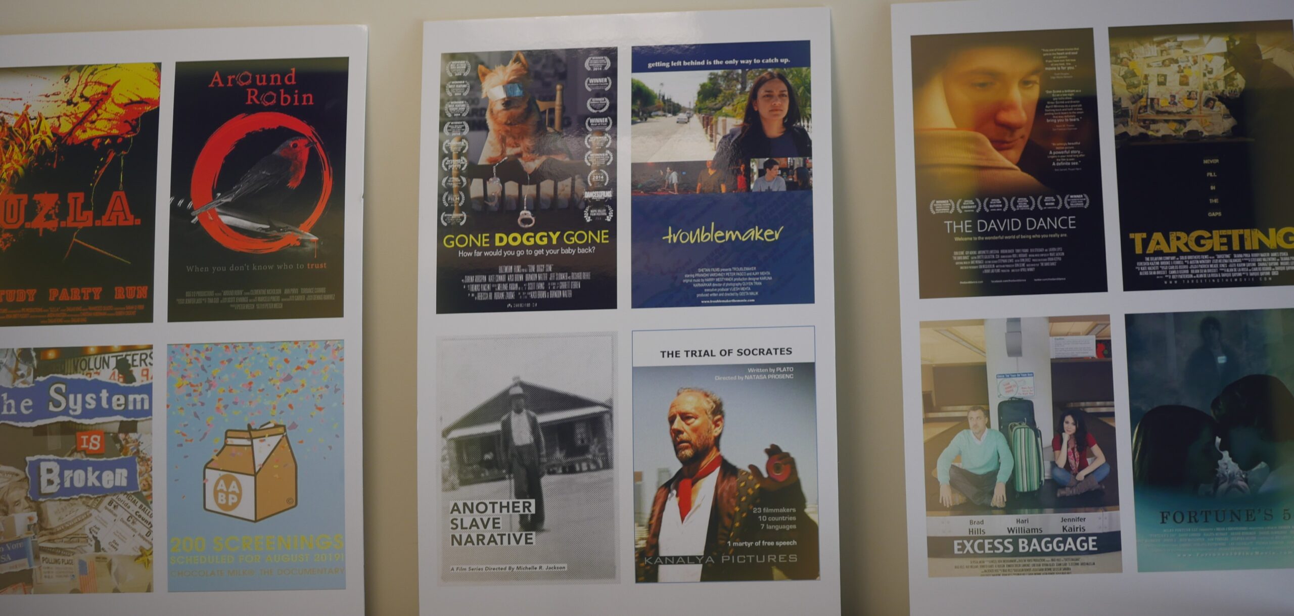 entertainment law clinic