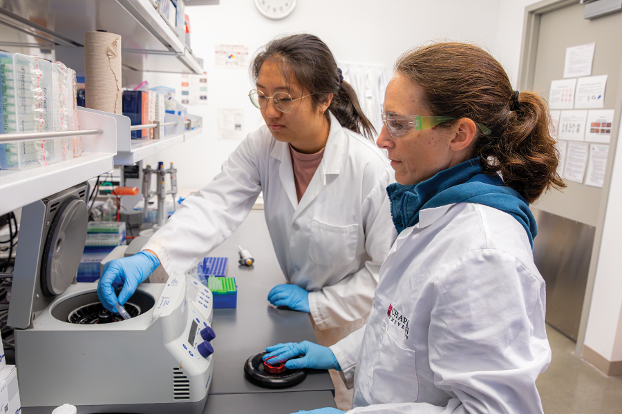 Student researcher Diane Kim, left,and professor Rosalee Hellberg tested supplements for undeclared plant species.