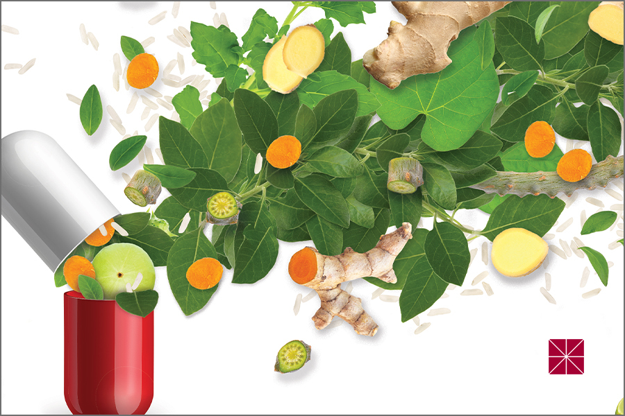illustration of natural ingredients coming out of a pill capsule