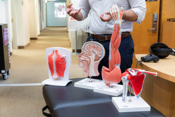 Students at the Rinker campus can check out anatomical models from the library desk.