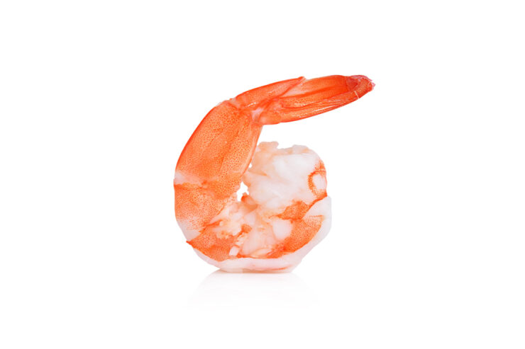 shrimp