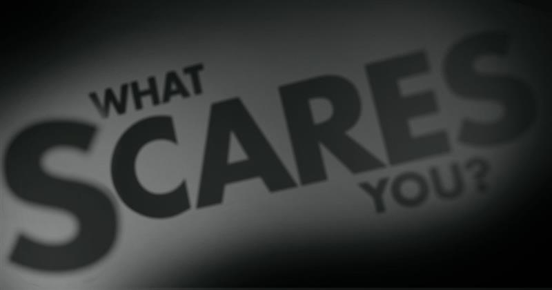 Fear Study graphic.