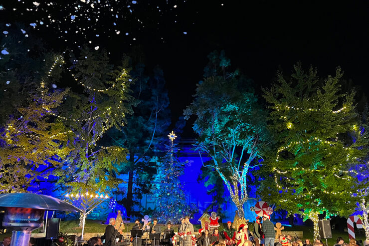 view of trees and lights