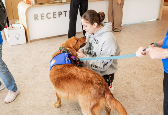 Furry Friends at Finals