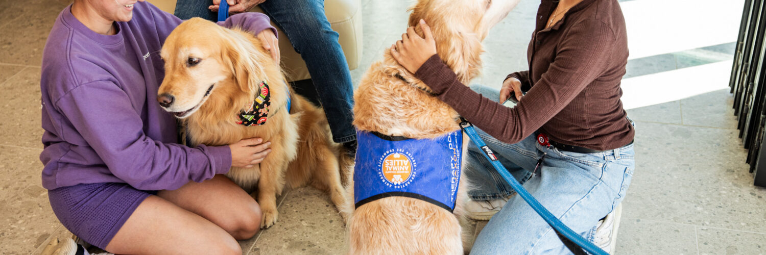 Furry Friends at Finals, Rinker Campus