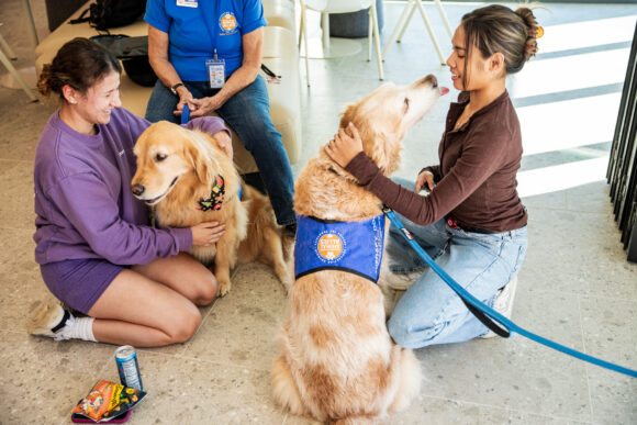 Furry Friends at Finals, Rinker Campus